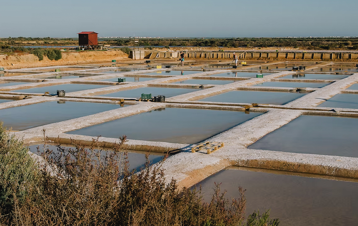 Salinas do Grelha - Segredos da Ria