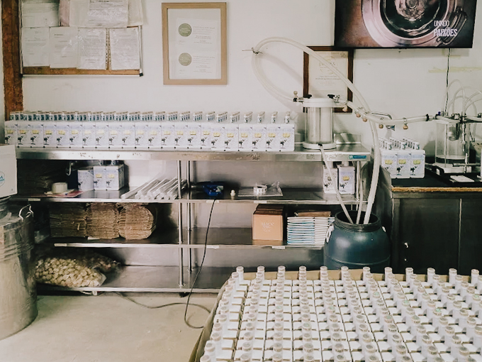 Vila do Gin | Destilaria Black Pig