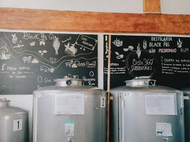 Vila do Gin | Destilaria Black Pig